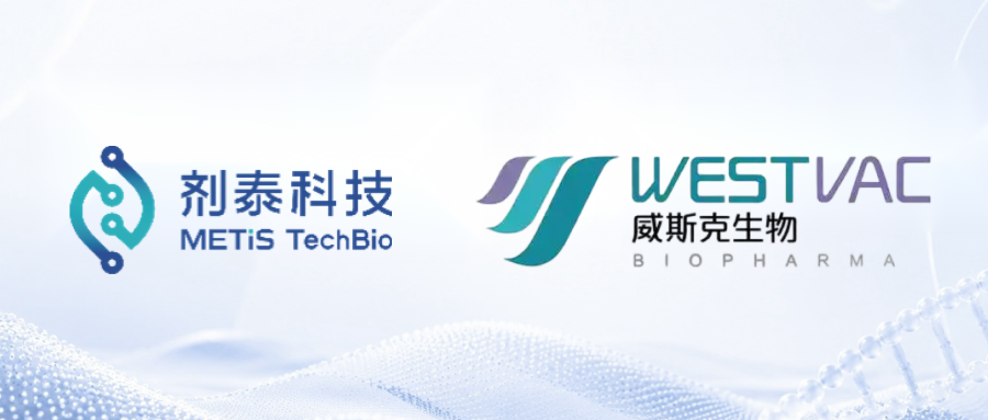 公众号头图尺寸.png 公众号头图尺寸.png