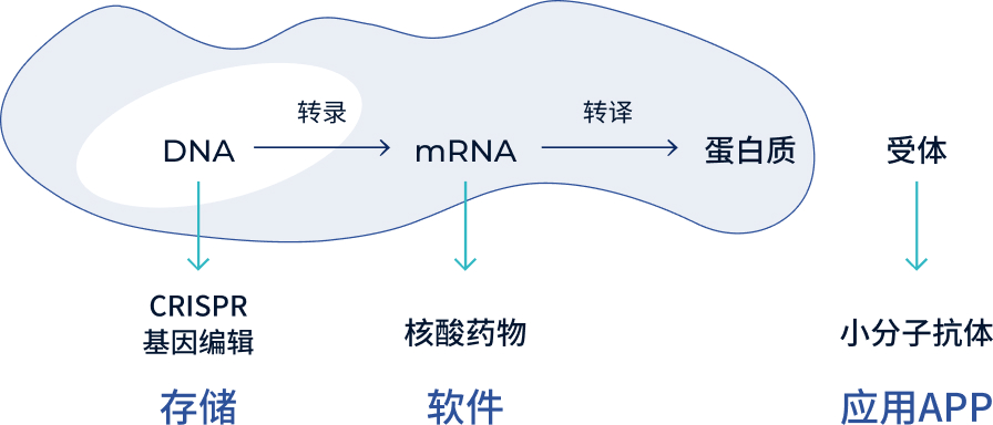 眺望“可编程药物”的未来：如果疾病细胞可以“一键重启”