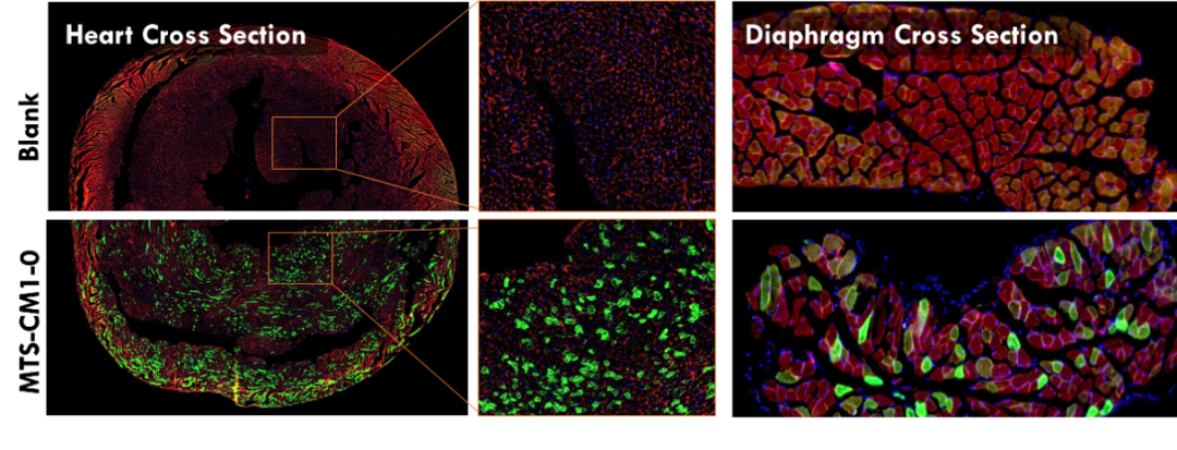 剂泰科技在2025国际释控年会展示AI纳米递送研发成果(图3)