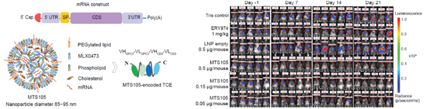 突破性进展！剂泰科技在《自然》子刊及《癌症免疫治疗杂志》连续发表学术研究成果(图10)