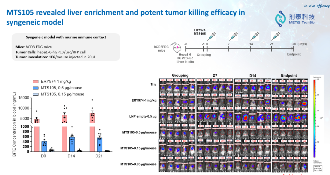 剂泰科技CSO徐伟博士：MTS105有望成为全球首款实体瘤治疗的mRNA编码TCE疗法(图4)